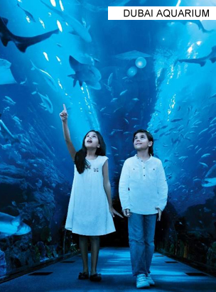 Dubai Aquarium  poster