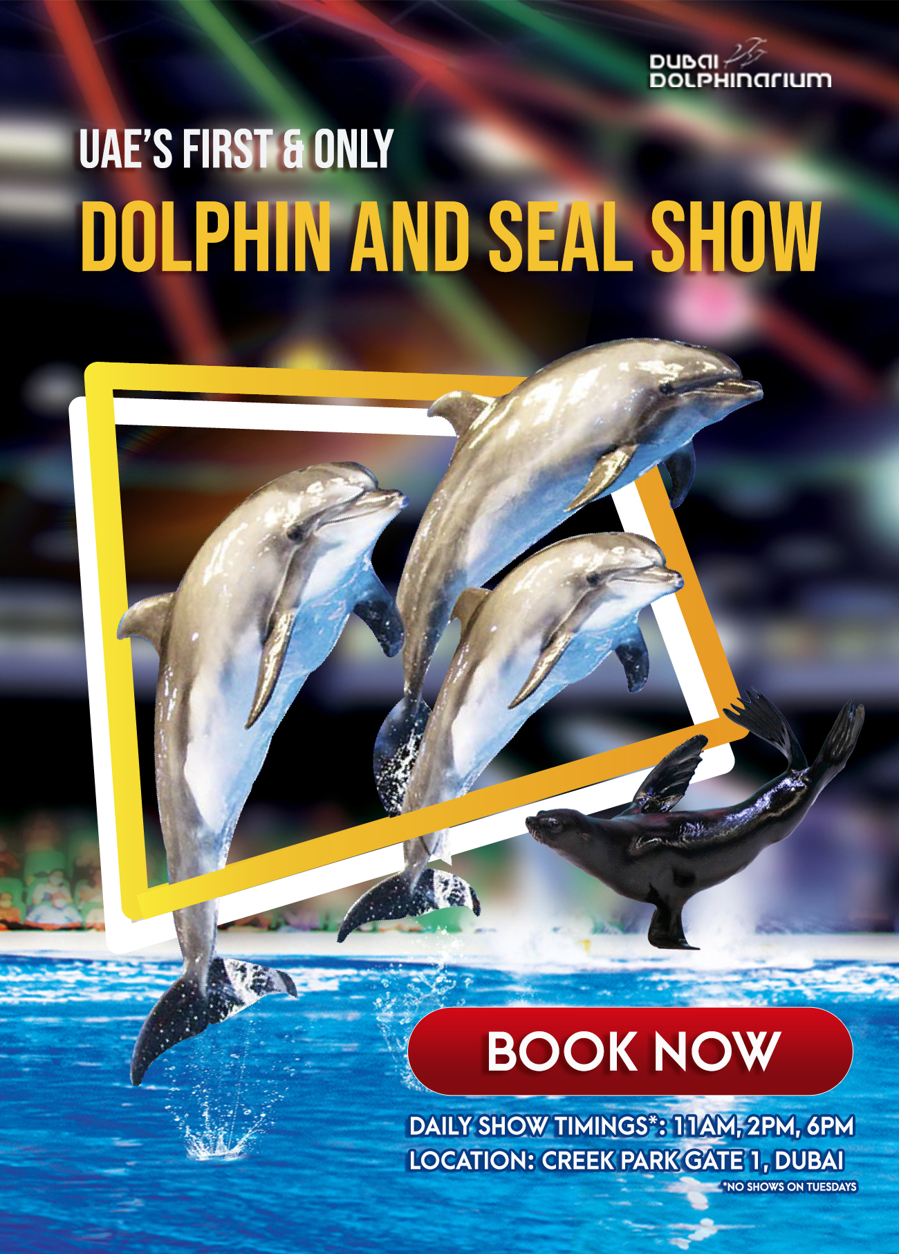 Dubai Dolphinarium poster