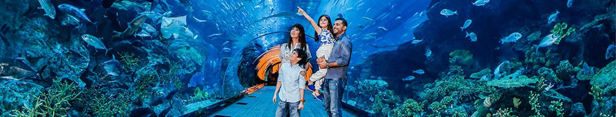 Dubai Aquarium 