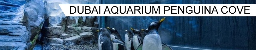 Dubai Aquarium & Penguin cove 