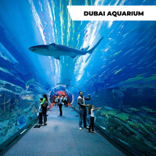 Dubai Aquarium 